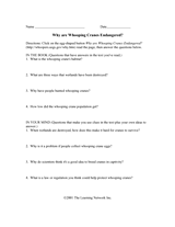 Wetlands Life Worksheet - Why are Whooping Cranes Endangered?