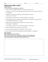 What Is the Water Cycle?